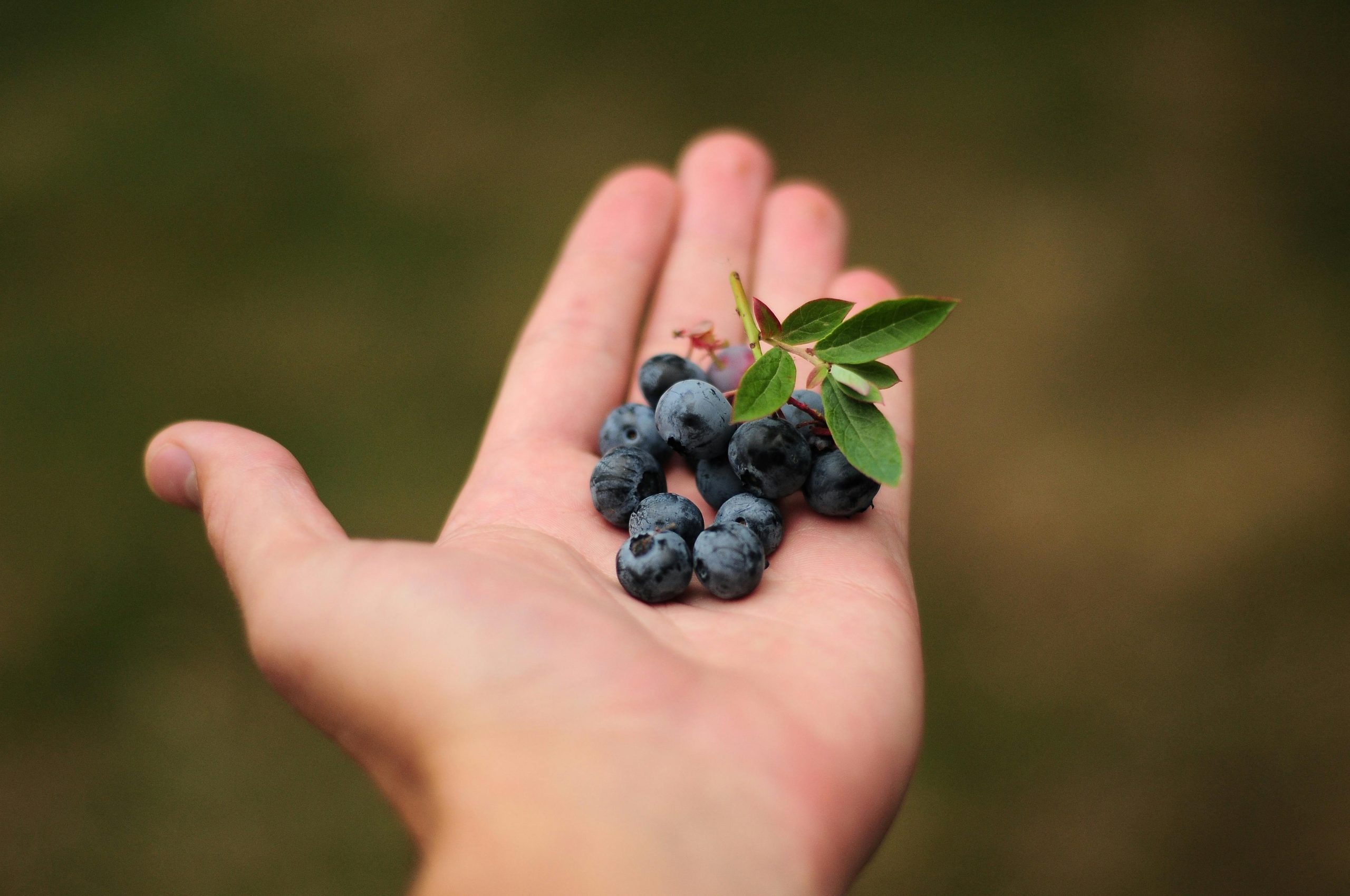 healthy snacks small portions picky eater