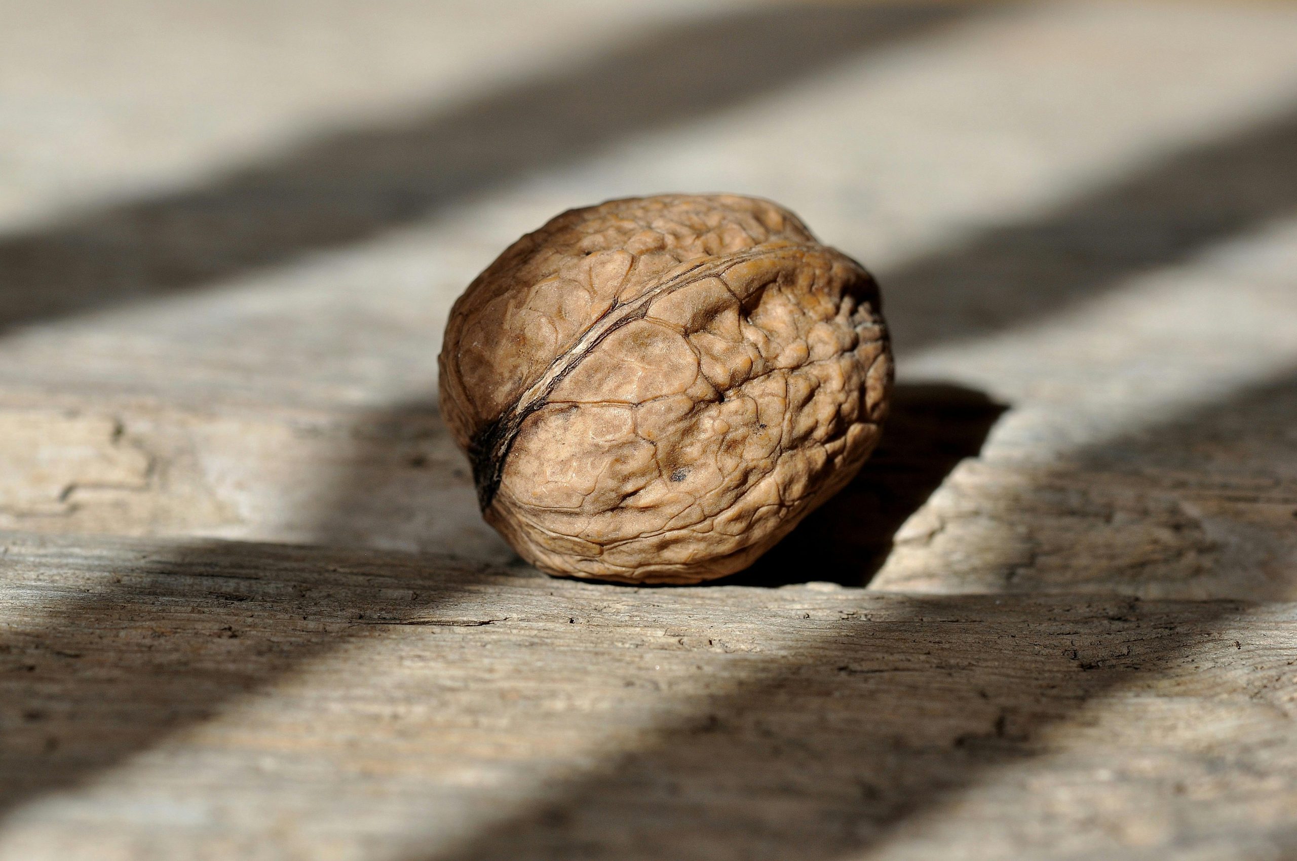 healthy belly fat burning foods